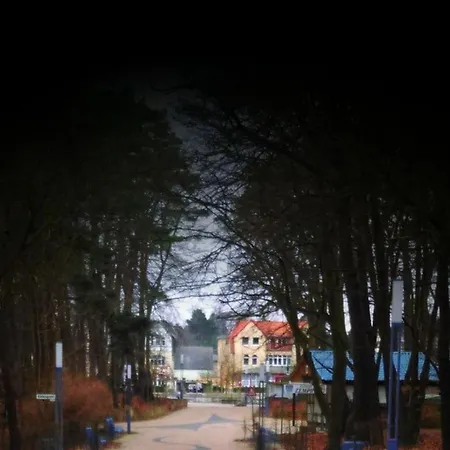 بيت للعطل Wood In Usedom زيمبين