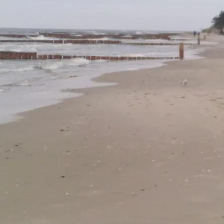 Wood In Usedom Zempin