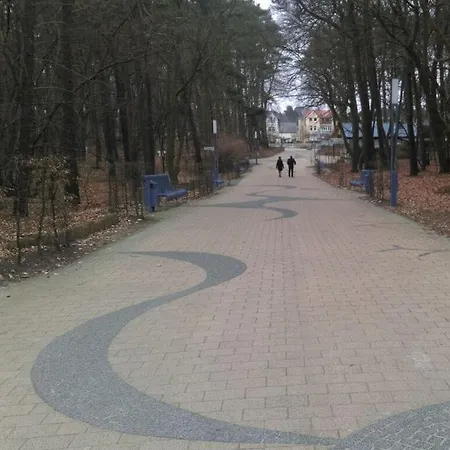 بيت للعطل Wood In Usedom